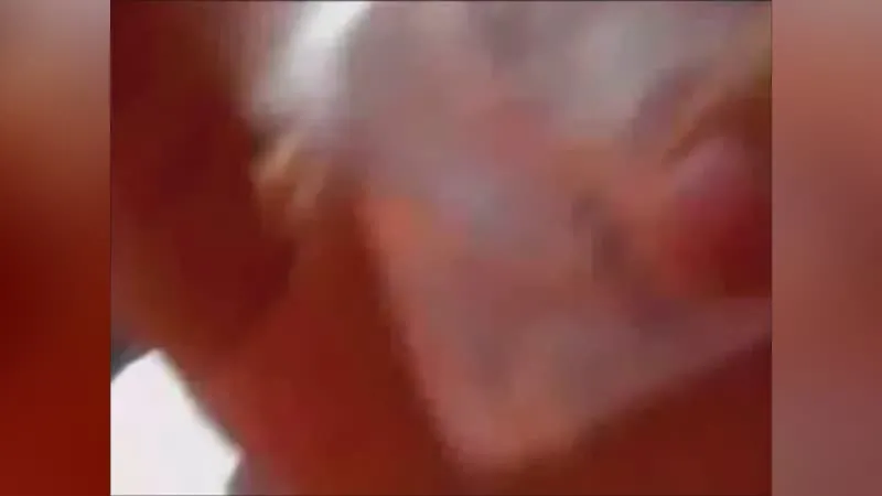 ▶️ Le Dice A Su Primo "hay Me Encantas" Video | CdeV.com