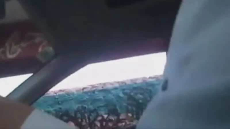 Porn Picture